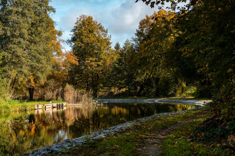 Swale-Wasserrückhaltesystem im Garten nach Permakultur-Prinzipien